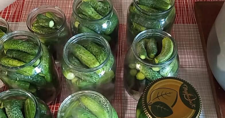 Kol vasaros agurkai dar traška, stiklainius su čili kečupu užsuku dabar, o žiemą jie pirmi dingsta nuotrauka